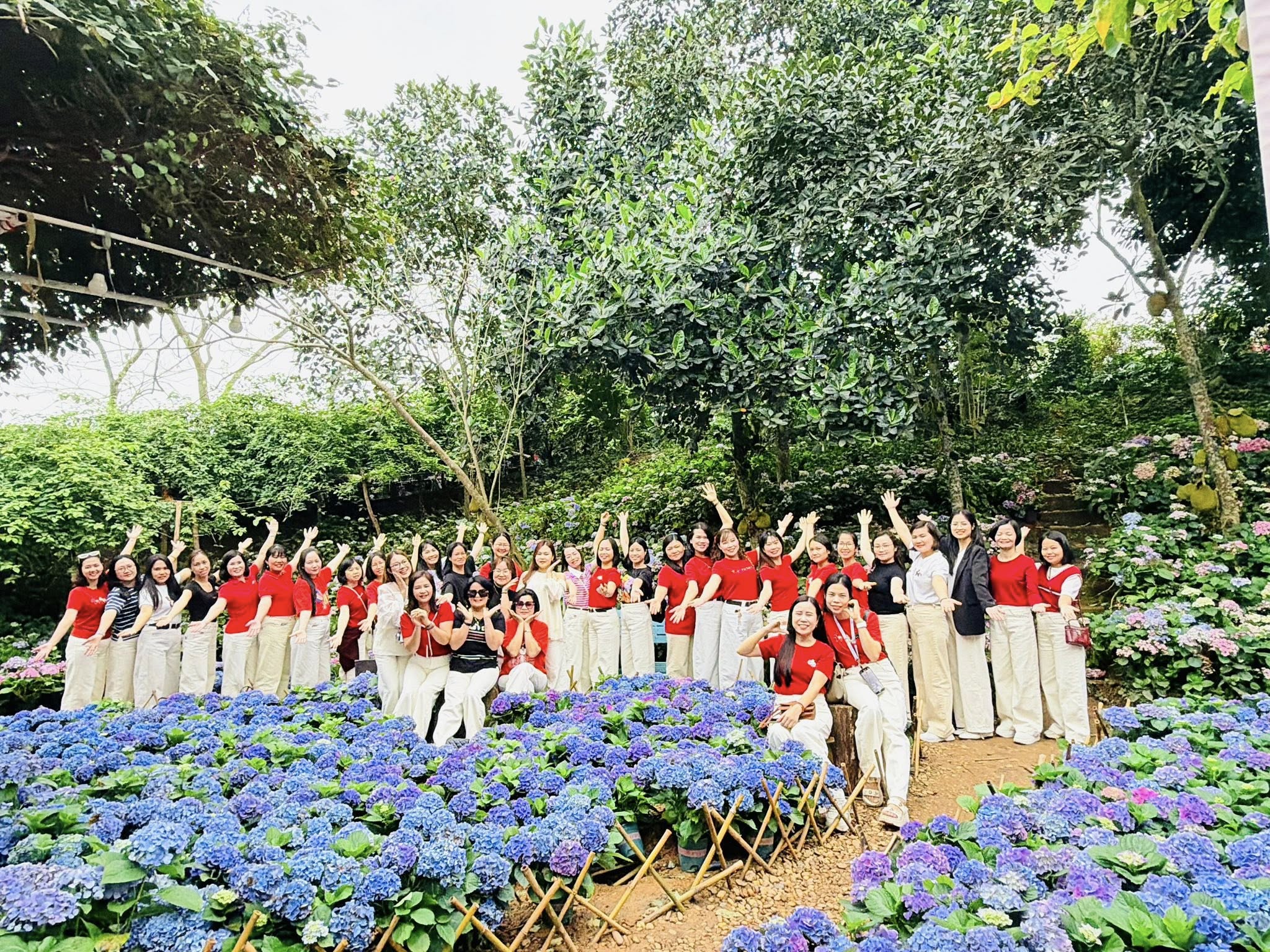 Trường Tiểu học Kim Ngọc - phường Vĩnh Phúc ảnh 1