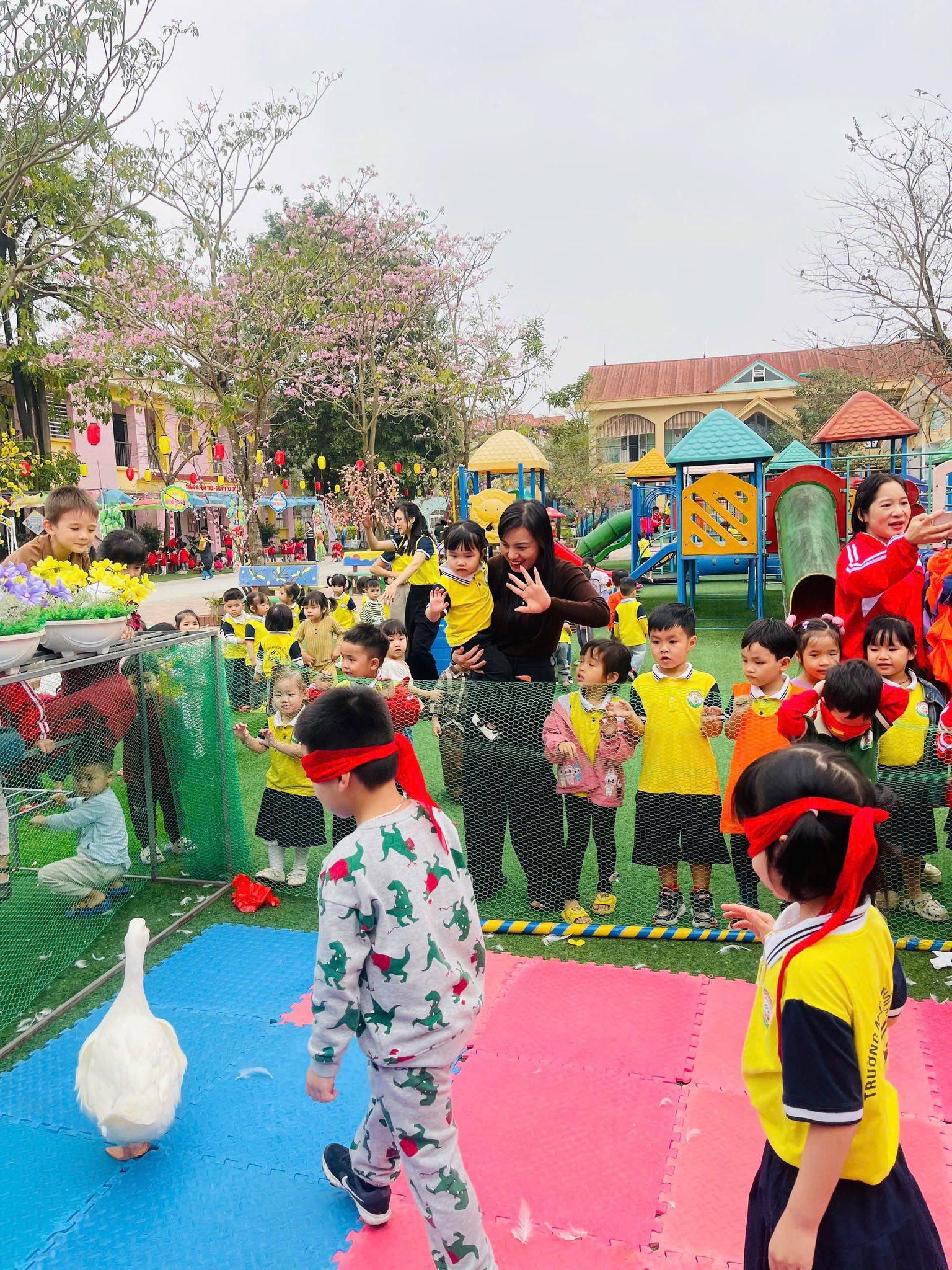 Trường mầm non Hội Hợp B ảnh 2