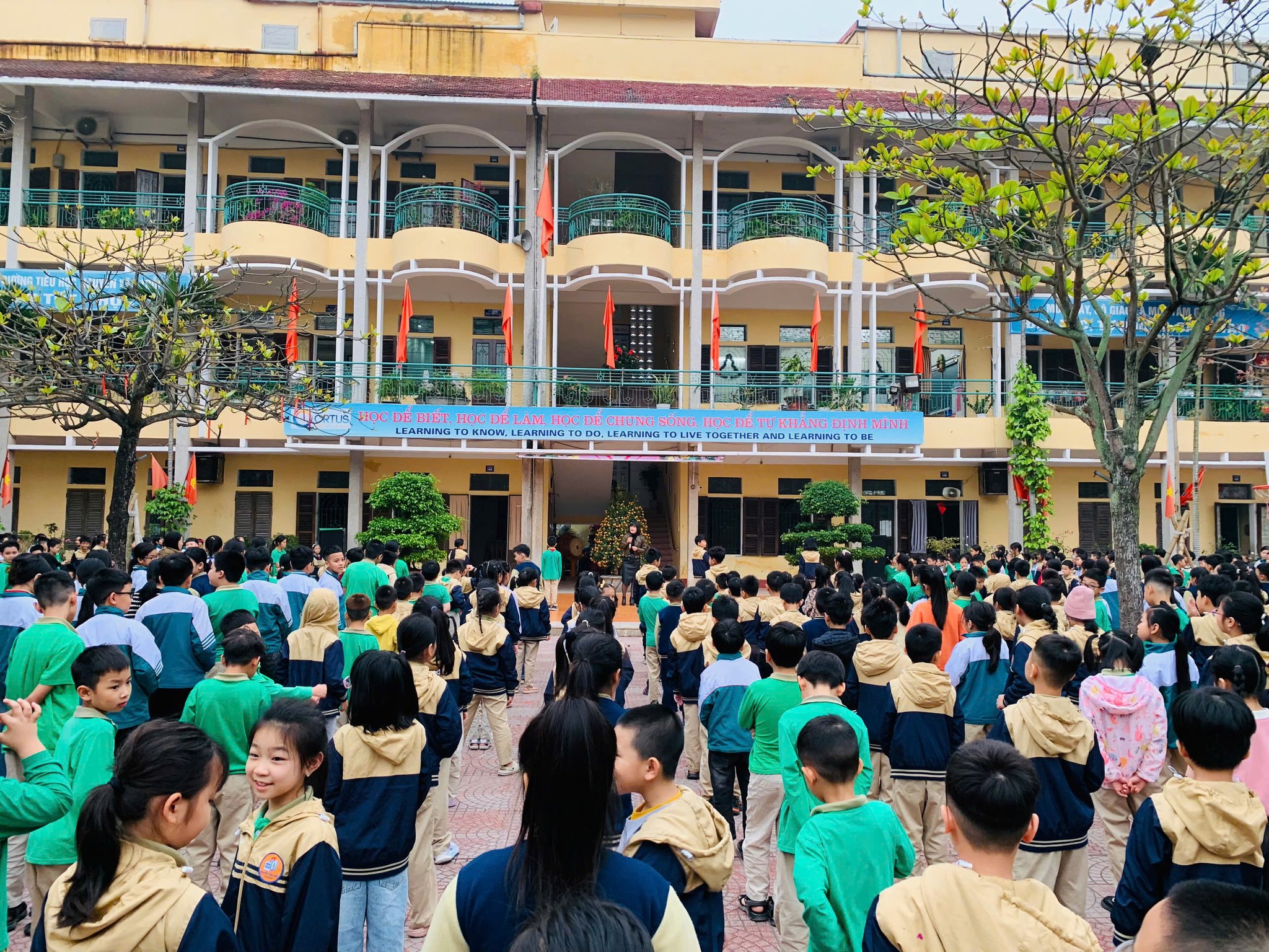 Trường tiểu học Nguyễn Văn Trỗi - Phường Nam Định ảnh 1