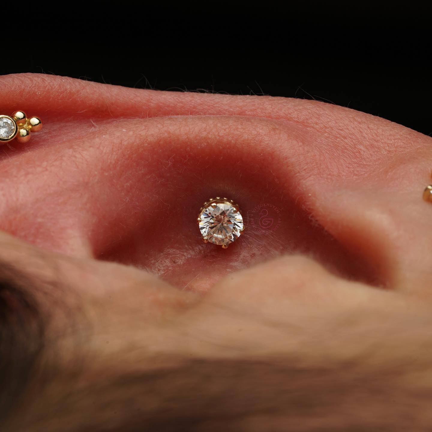 Vịt Xỏ Khuyên ảnh 3