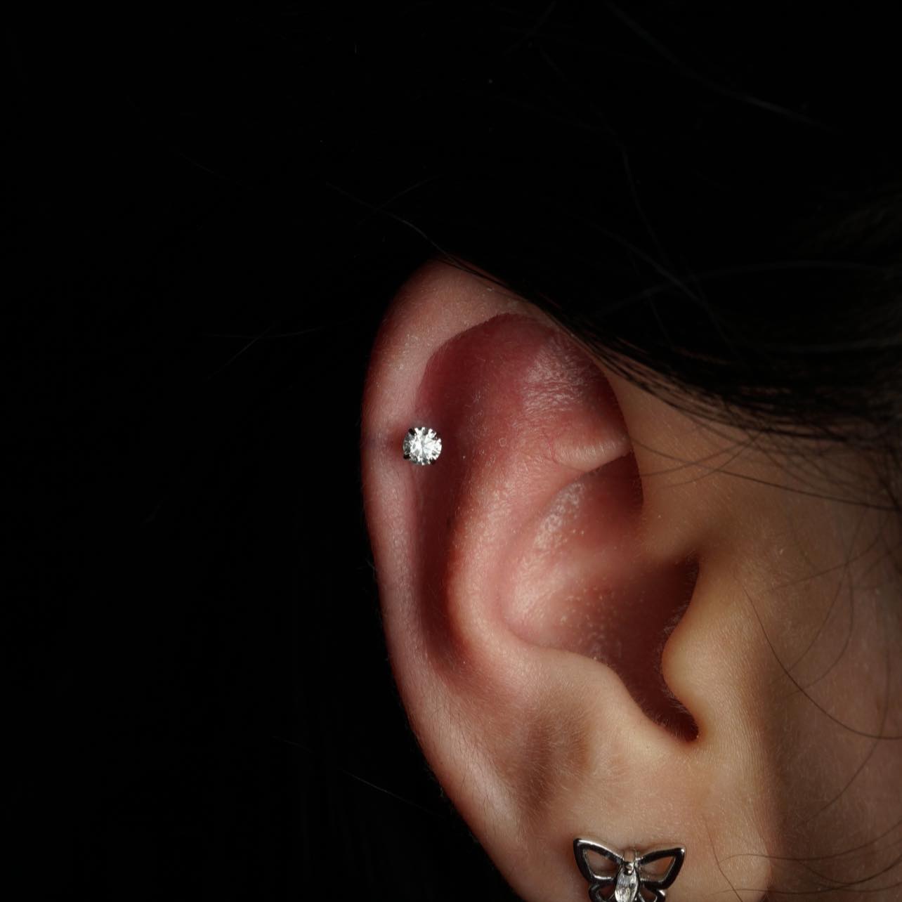 Vịt Xỏ Khuyên ảnh 1