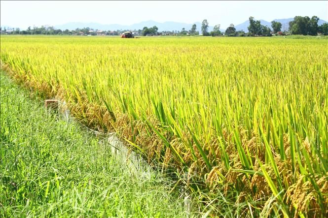 câu ca dao, tục ngữ hay nhất về đặc sản vùng miền Việt Nam