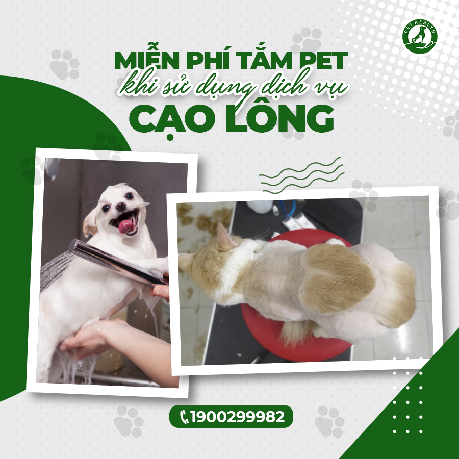 Bệnh Viện Thú Y PetHealth Hải Phòng ảnh 2