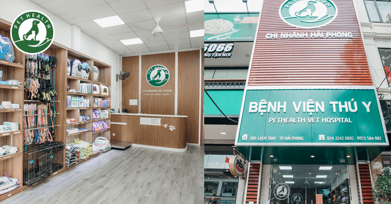 Bệnh Viện Thú Y PetHealth Hải Phòng ảnh 1