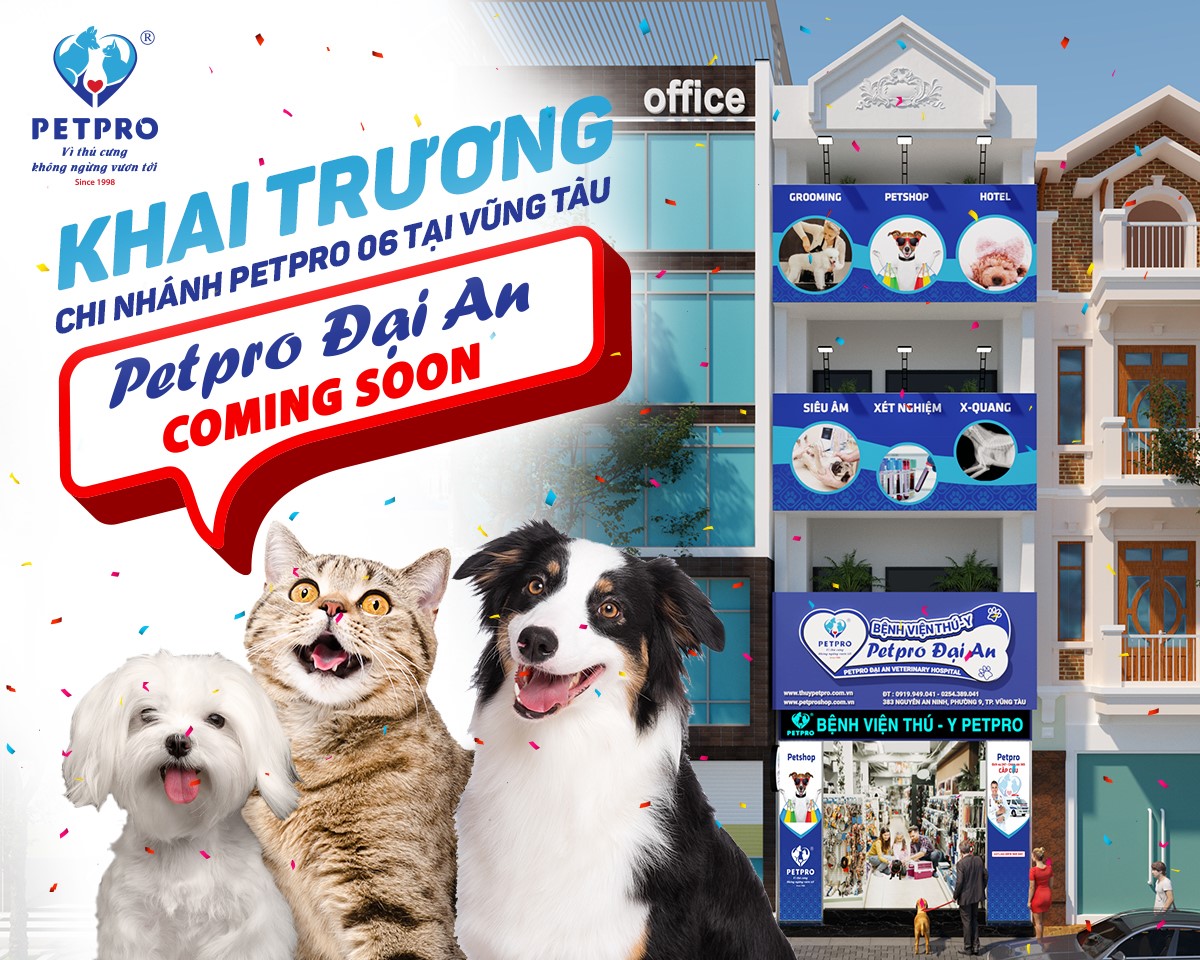 Bệnh Viện Thú Y Pet - Pro ảnh 1