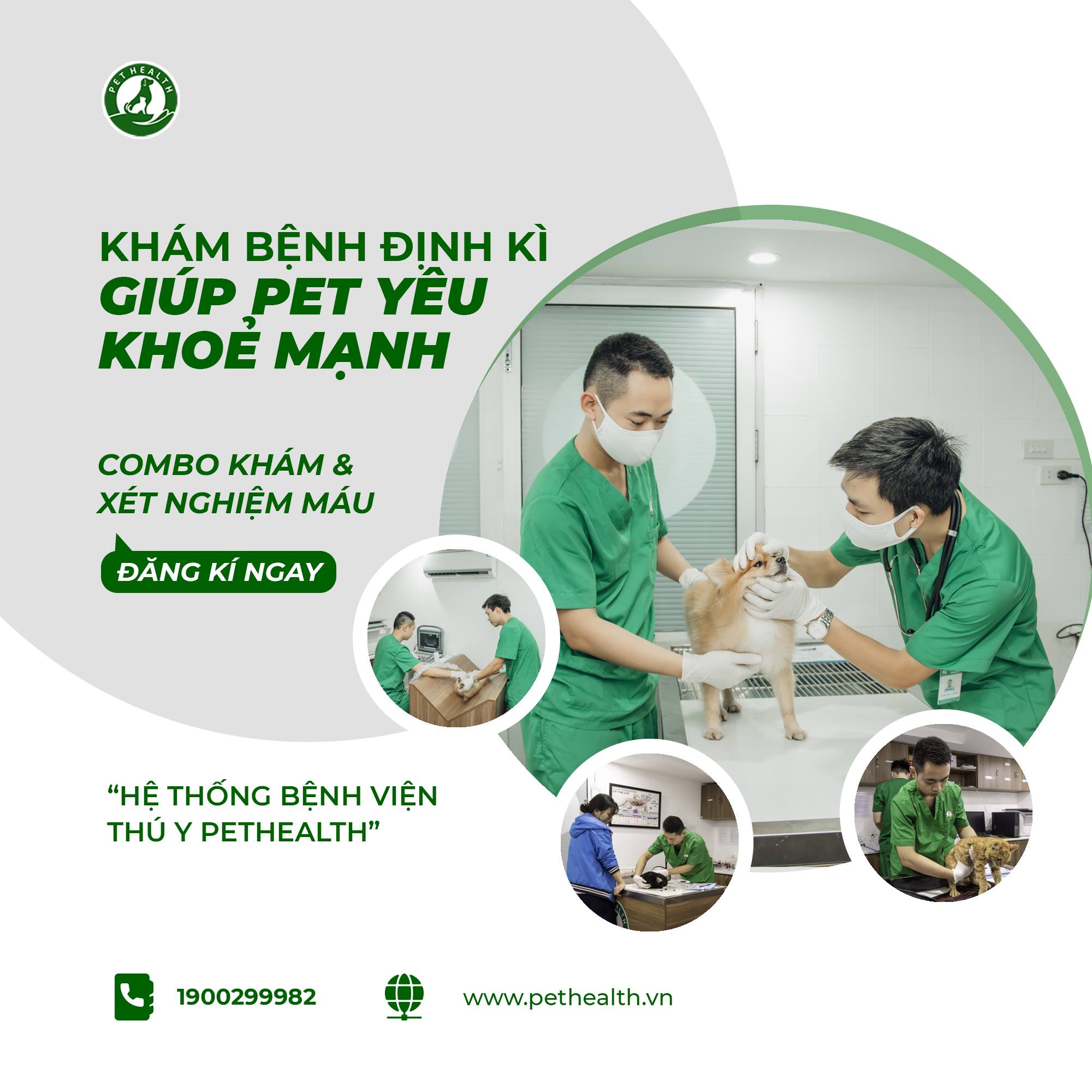 Bệnh viện thú y Pethealth Bắc Giang ảnh 2