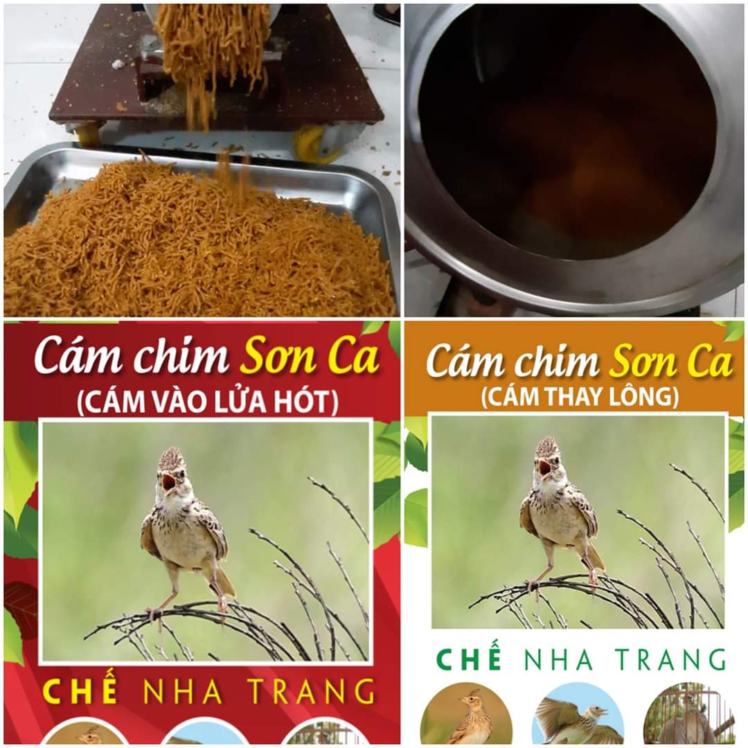 Cám chim sơn ca "CHẾ NHA TRANG" ảnh 1