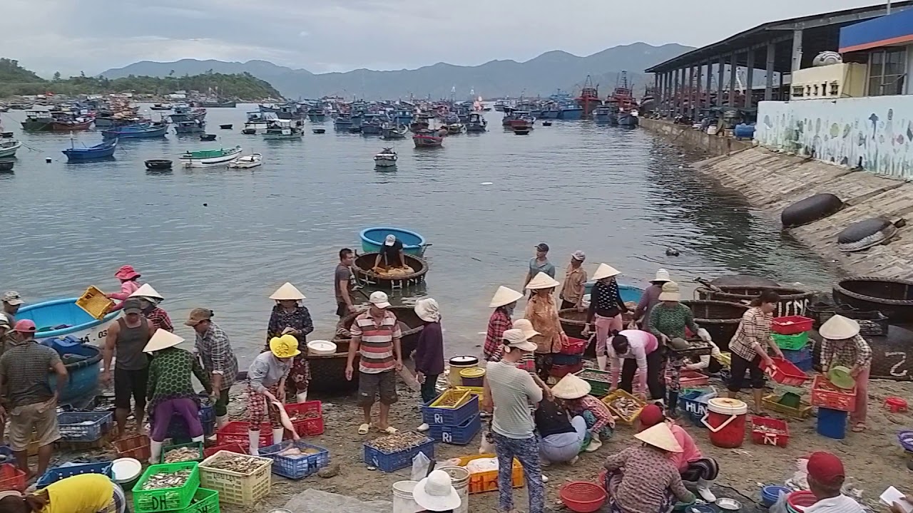 Cảng cá, chợ hải sản ảnh 1
