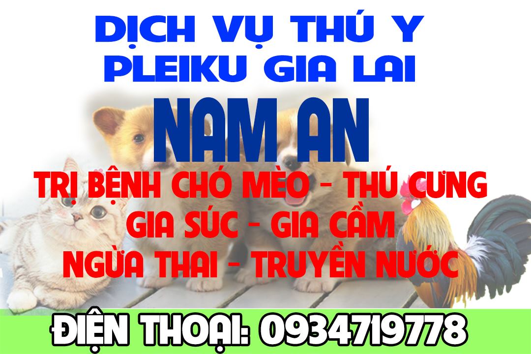 Dịch vụ thú y Nam An Pleiku ảnh 1