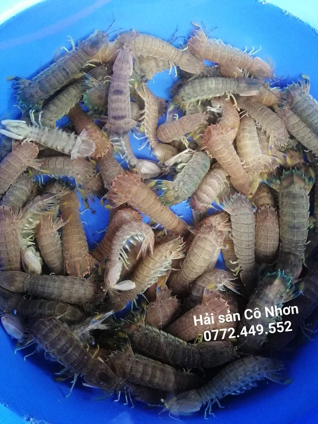 Hải sản Cô Nhơn tươi sống ảnh 1