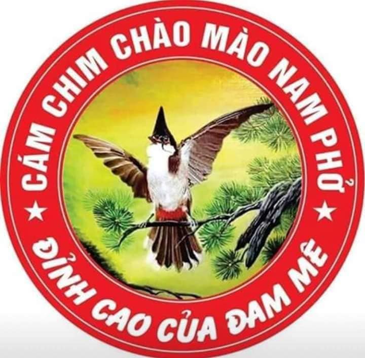 Cám Chim Nam Phở ảnh 1