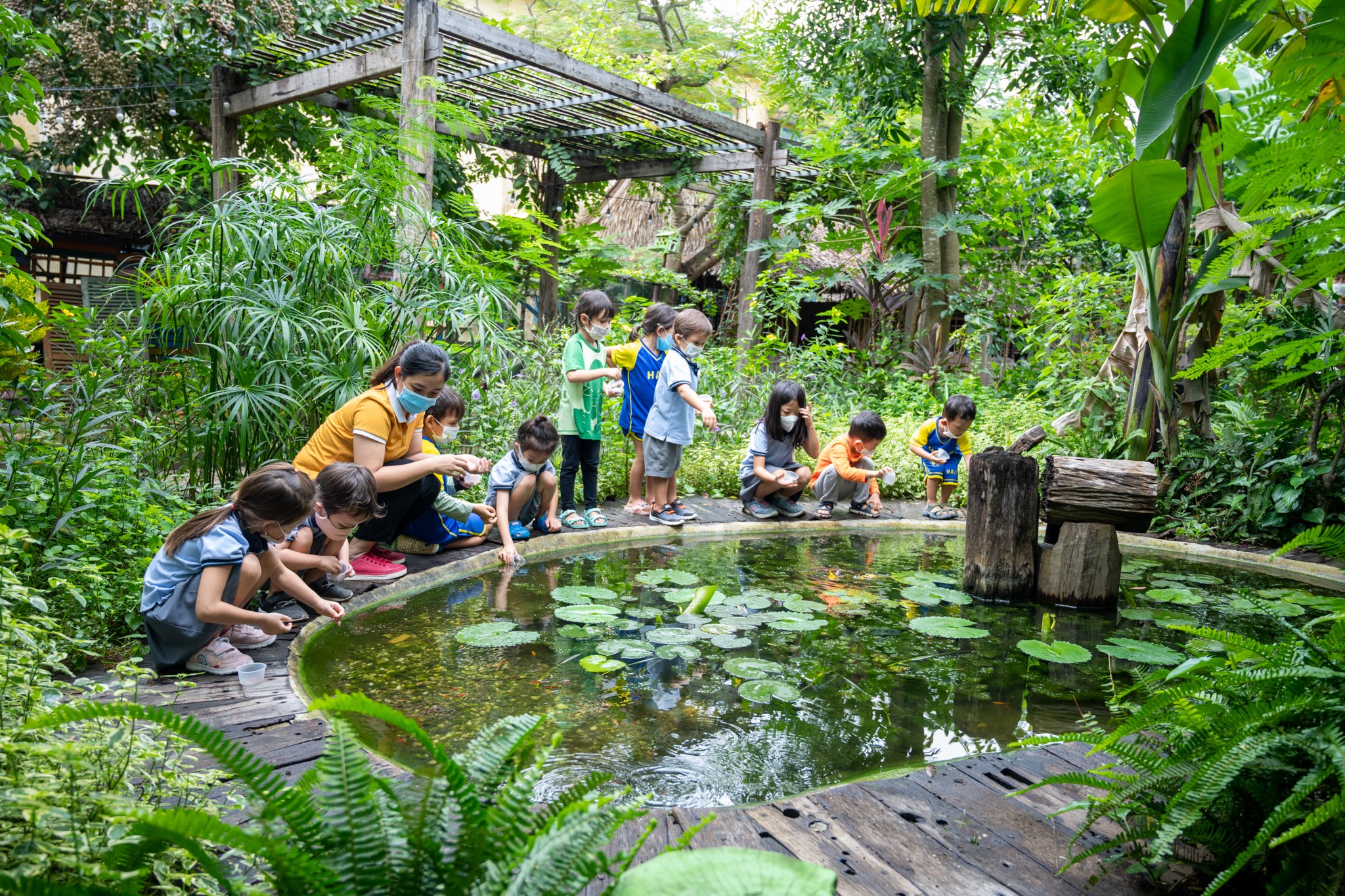 Hoi An International School (Trường Quốc tế Hội An) ảnh 2