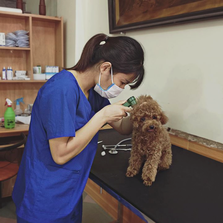 Phòng Khám Thú Y BacGiang Vet Clinic ảnh 1