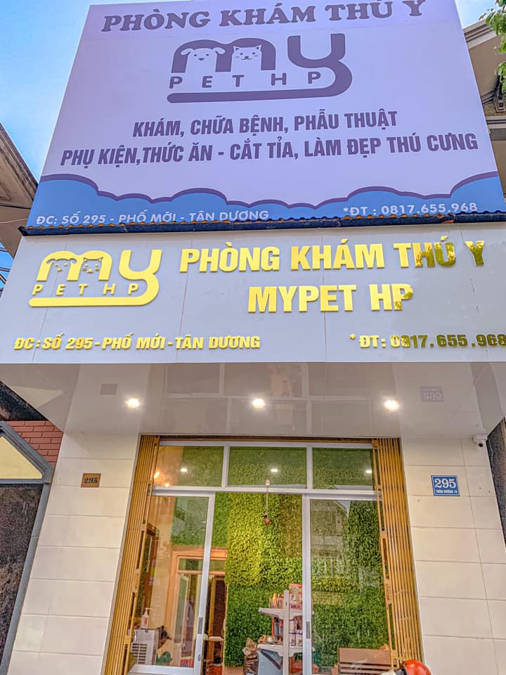 Phòng Khám Thú Y Mypet Hải Phòng ảnh 1