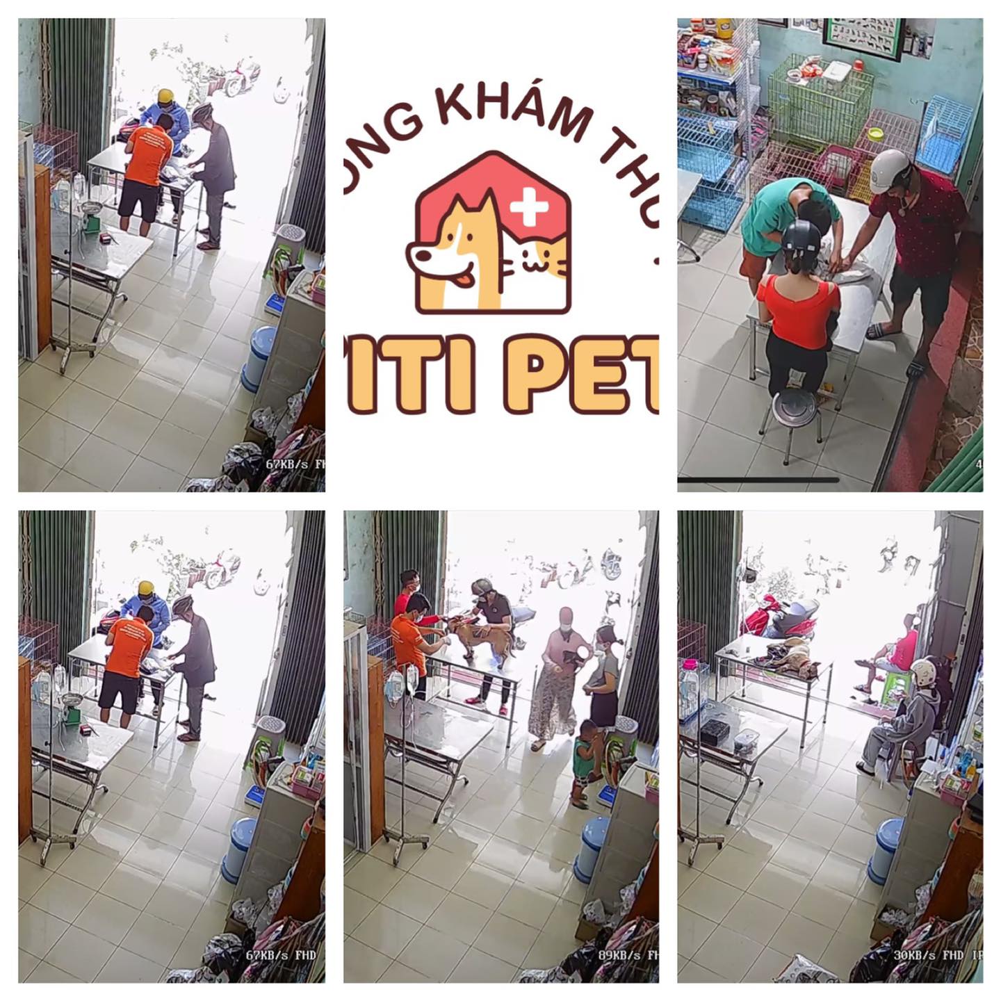 Phòng Khám Thú Y TiTi Pet ảnh 1