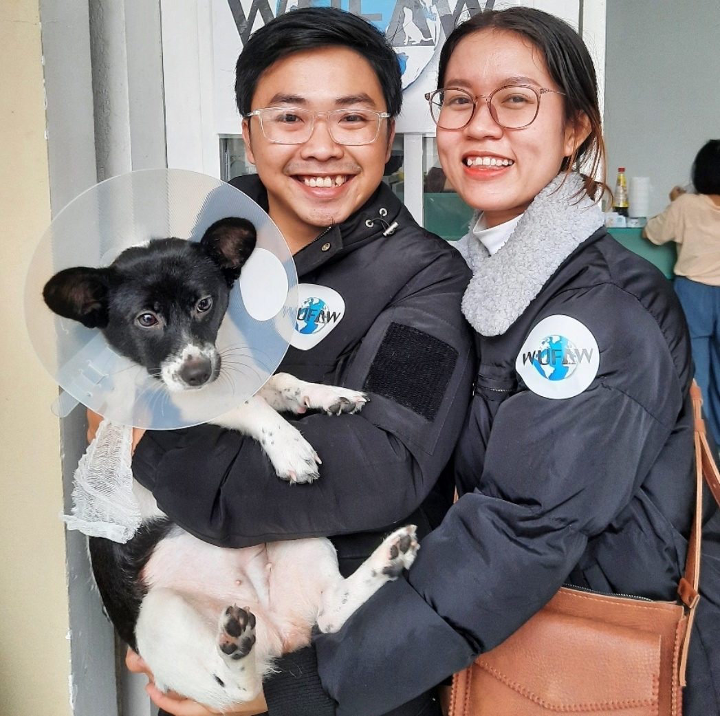 Phòng khám Quốc tế Paws (Paws International Clinic Da Nang) ảnh 2