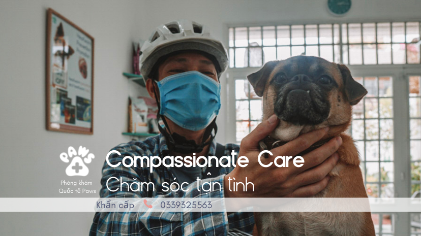 Phòng khám Quốc tế Paws (Paws International Clinic Da Nang) ảnh 1