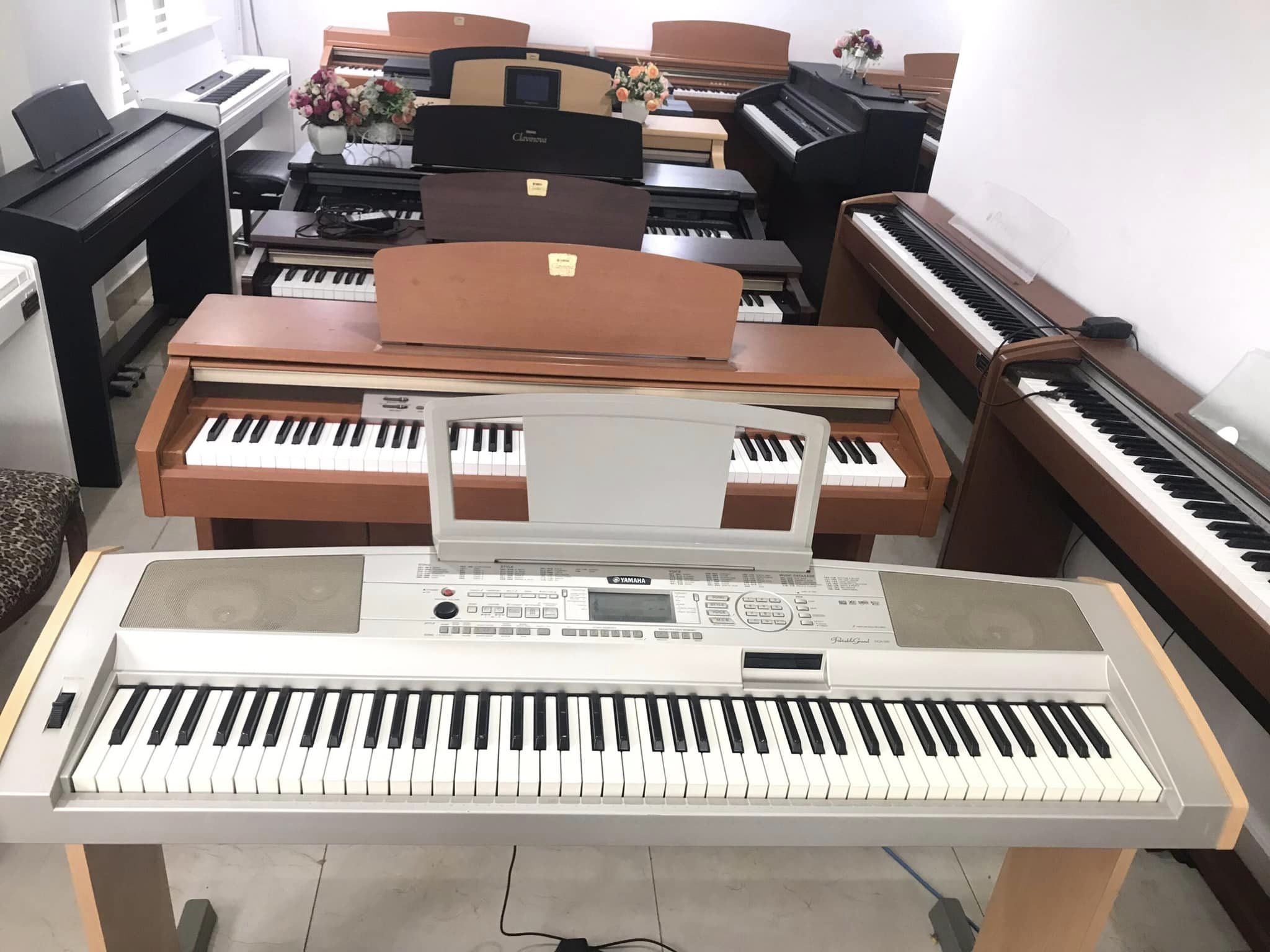 Piano D-Music ảnh 2