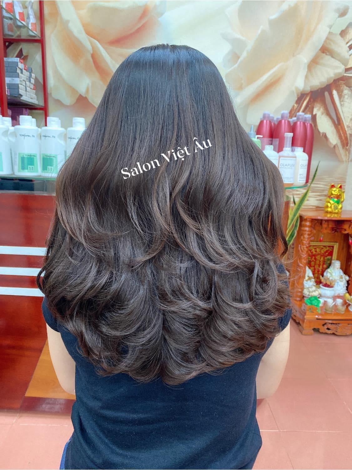 SaLon Việt Âu ảnh 1