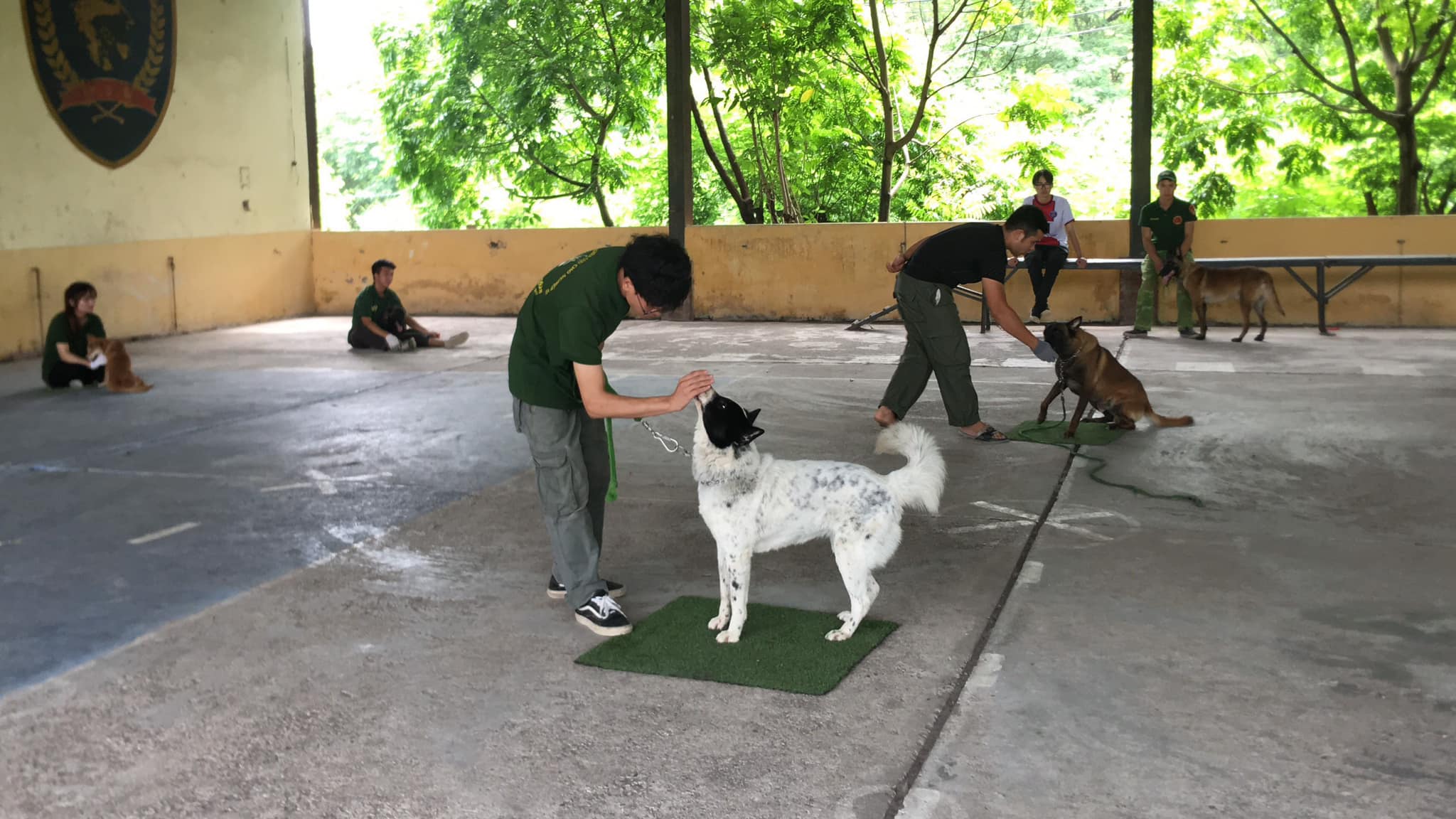 Trung tâm huấn luyện chó nghiệp vụ PDS - Việt Nam ảnh 2