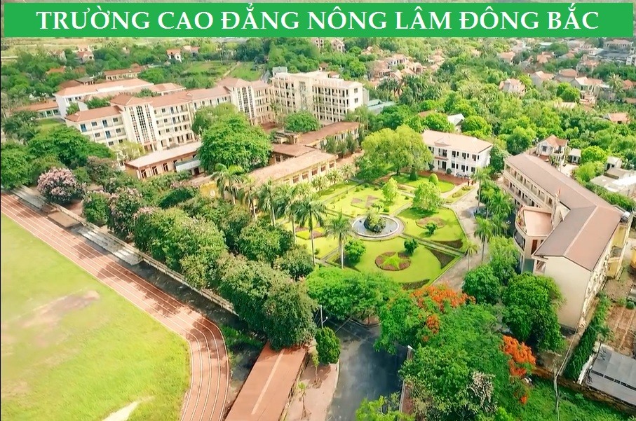 Trường Cao đẳng Nông Lâm Đông Bắc ảnh 1