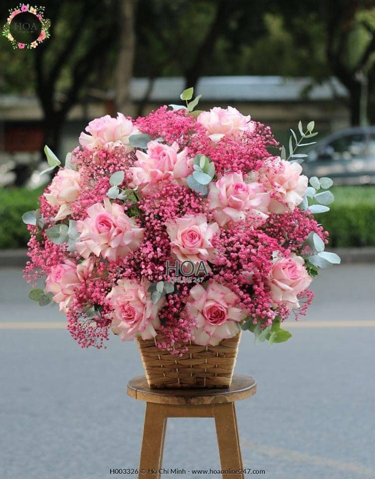 38 Degree Flowers ảnh 1