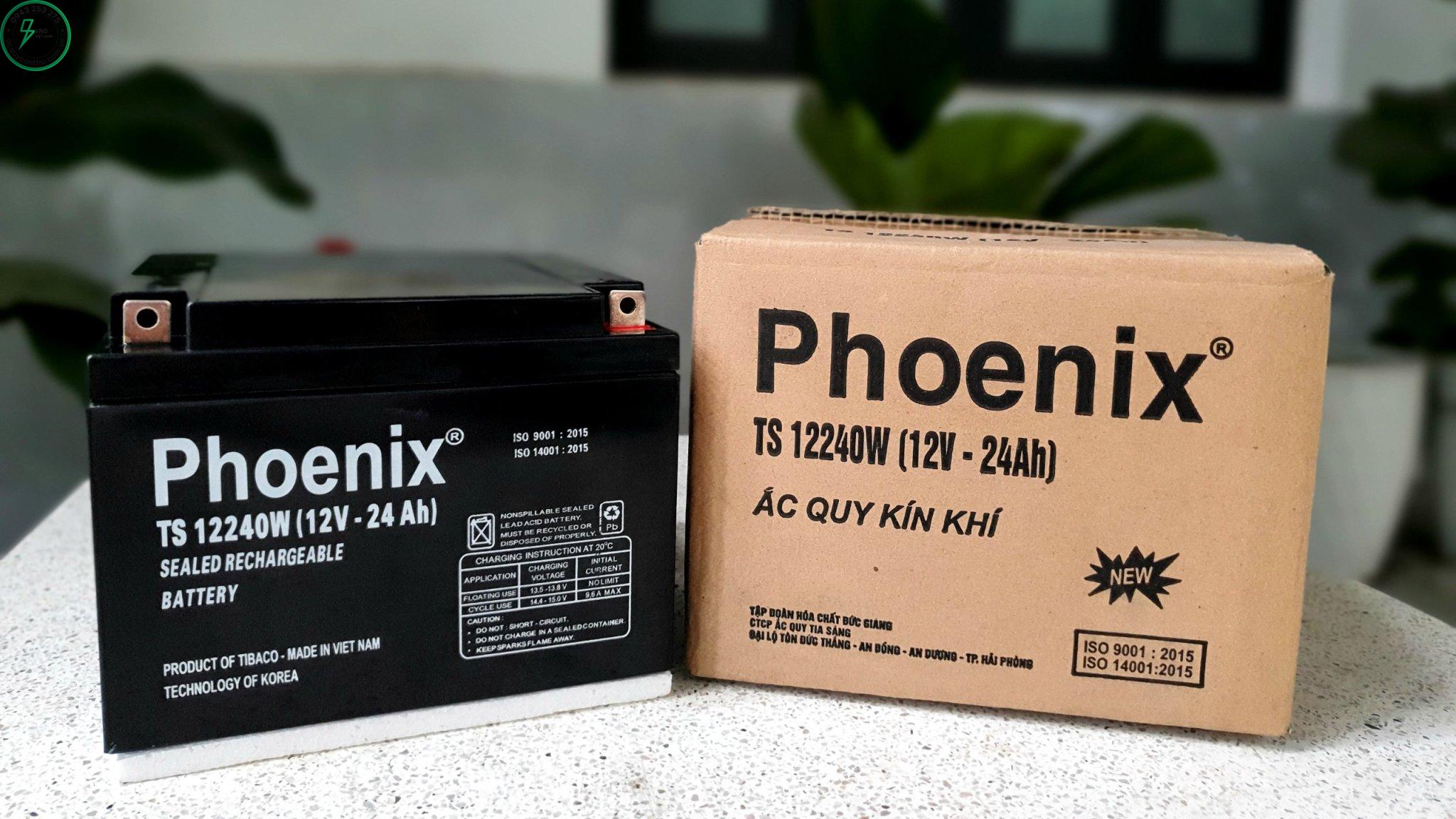 Ắc quy Phoenix ảnh 1