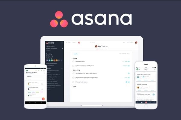 Asana ảnh 2