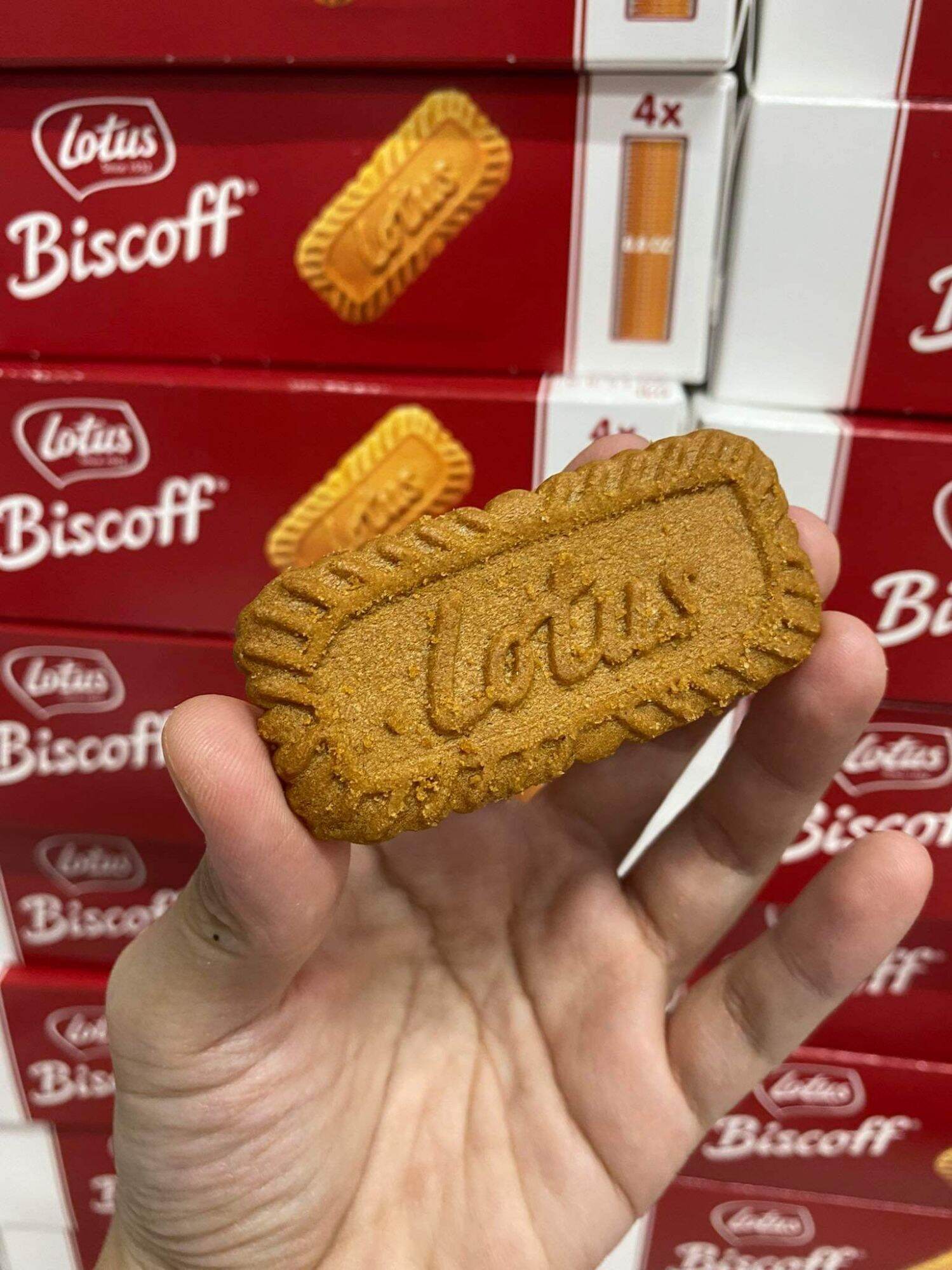 Bánh Quy Bơ Lotus Biscoff ảnh 2