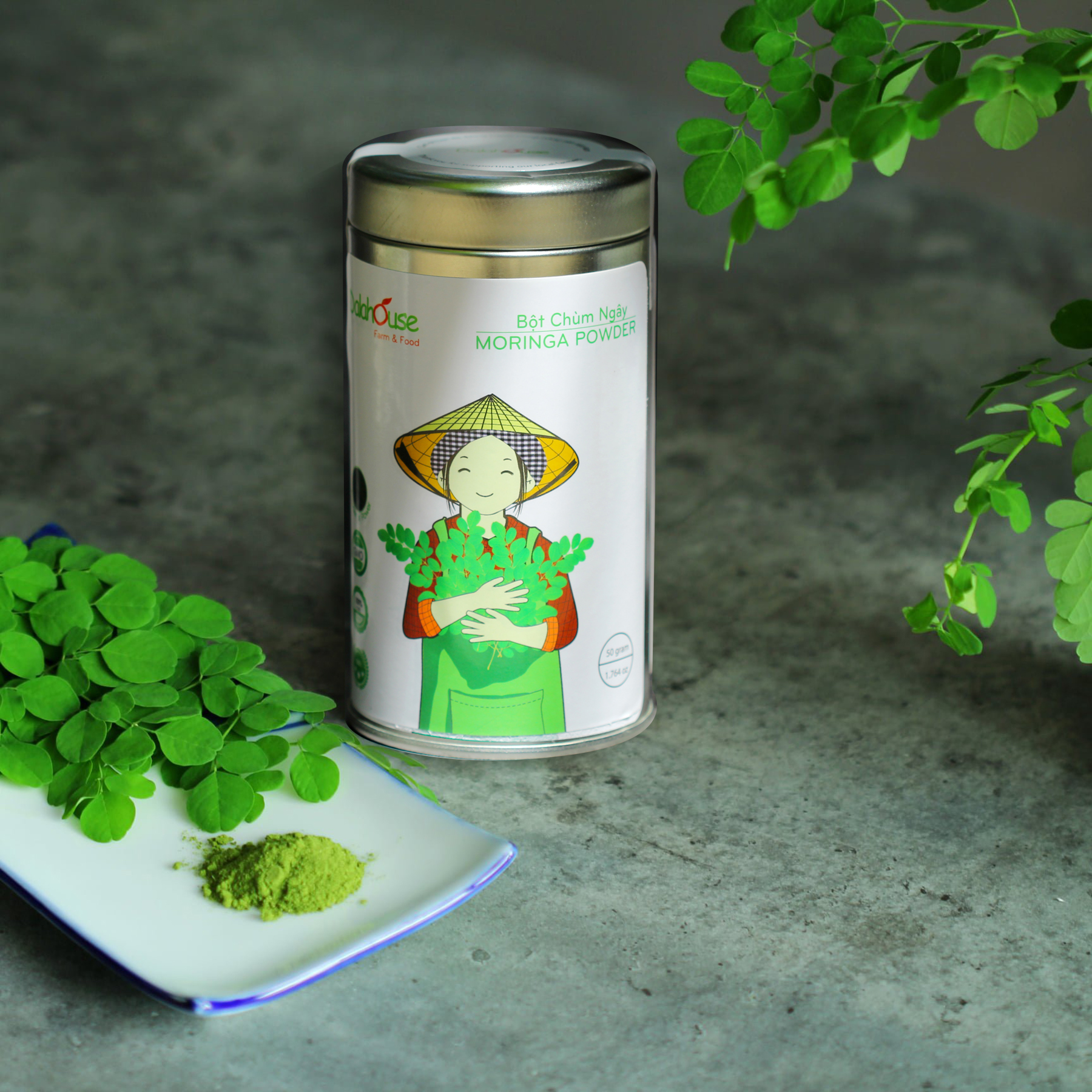 Bột chùm ngây DalaHouse ảnh 2