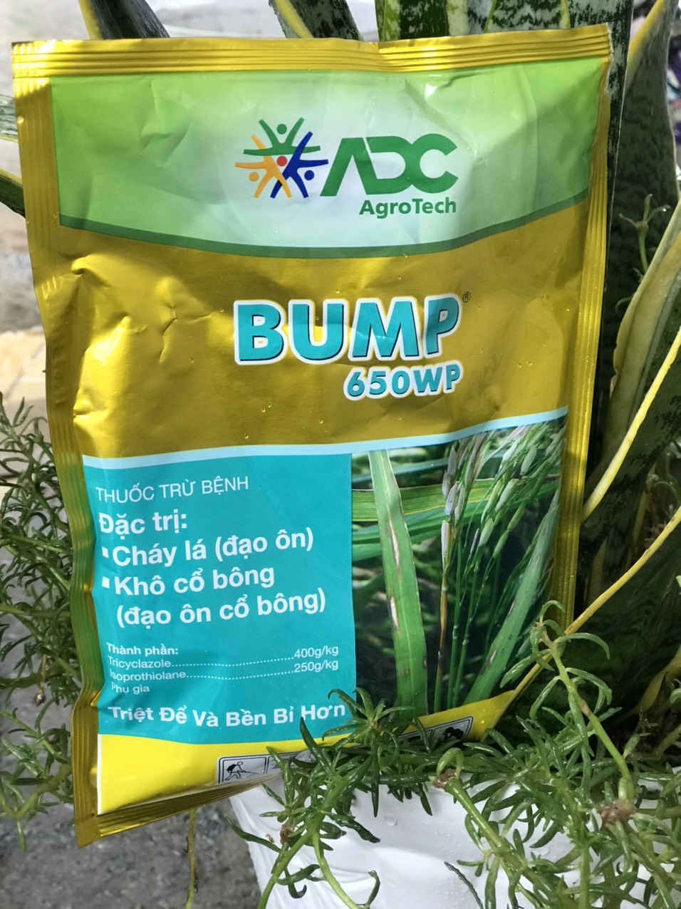 Bump đặc trị đạo ôn ảnh 2