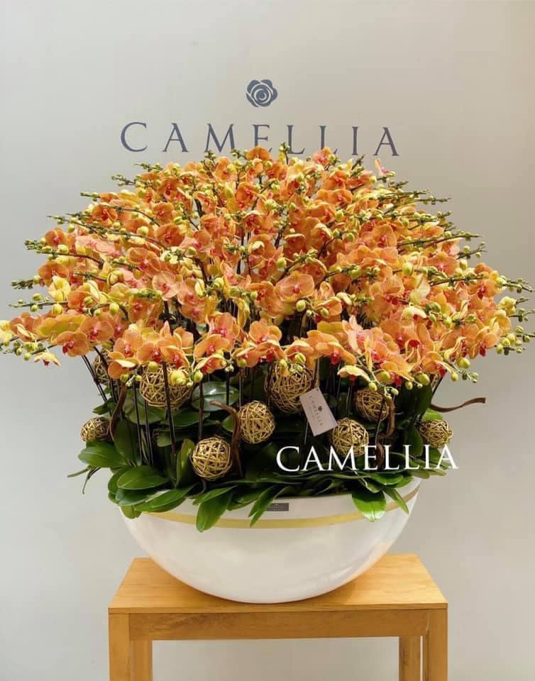 Camellia Flower Shop ảnh 1