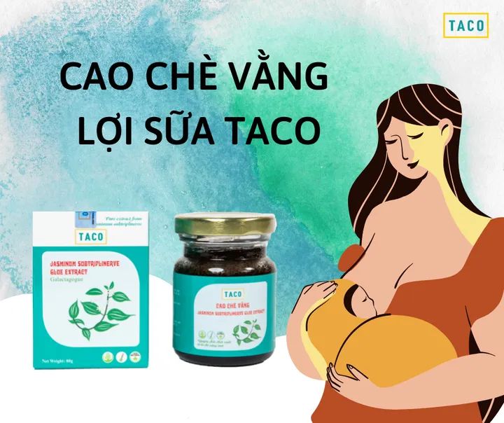 Cao chè vằng TACO ảnh 2