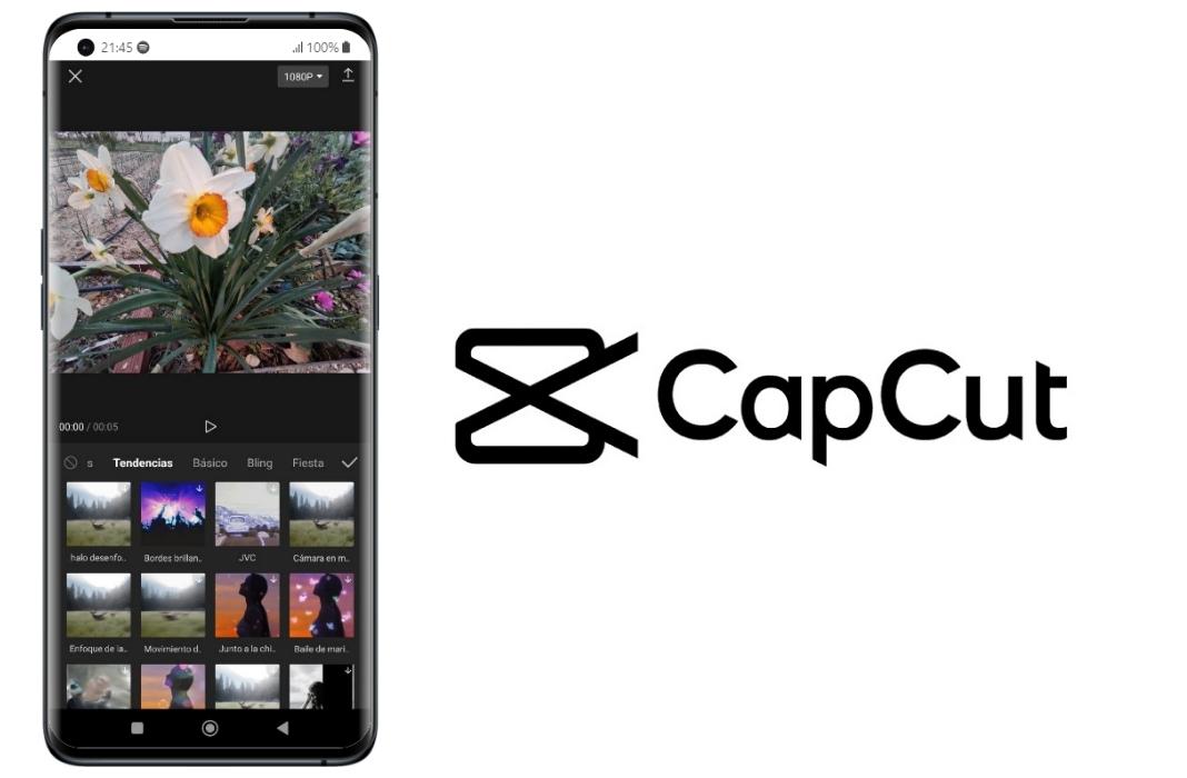 CapCut - Video Editor ảnh 2