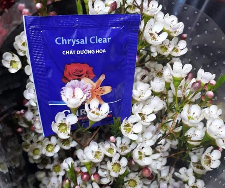 Chất dưỡng hoa lâu tàn Chrysal ảnh 1