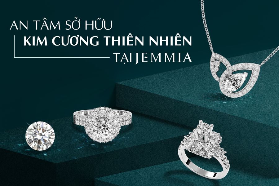 Công ty cổ phần Jemmia ảnh 2