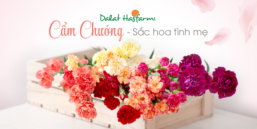 Dalat Hasfarm ảnh 1