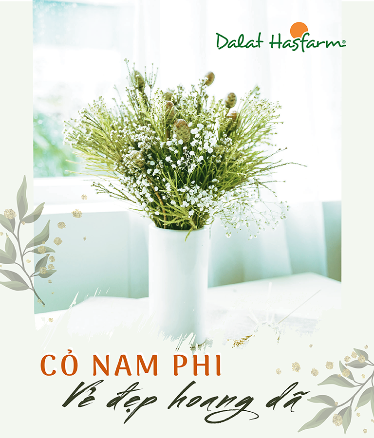 Dalat Hasfarm ảnh 1