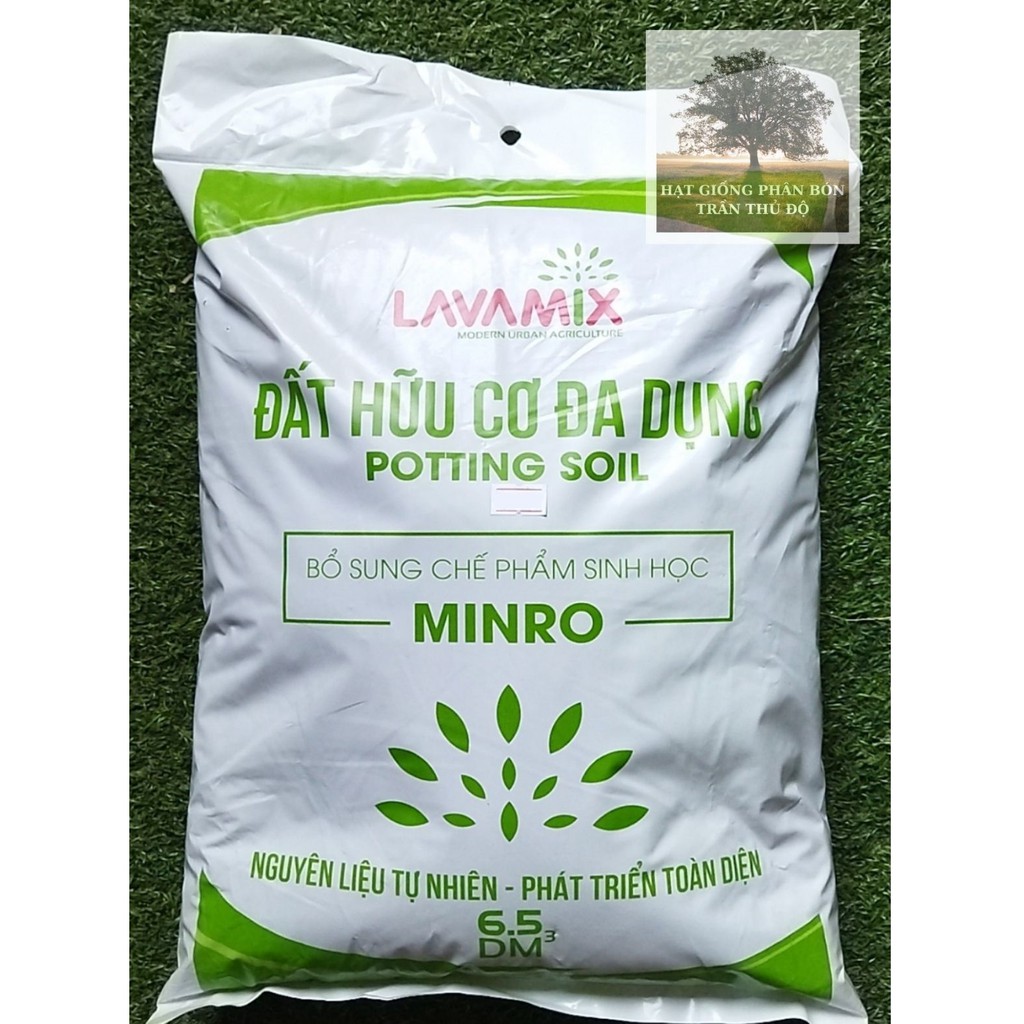 Đất sạch Lavamix ảnh 2