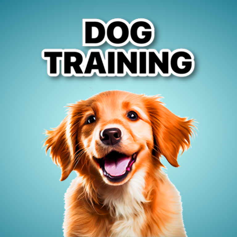 Dogger – Dog Training & Tricks ảnh 1