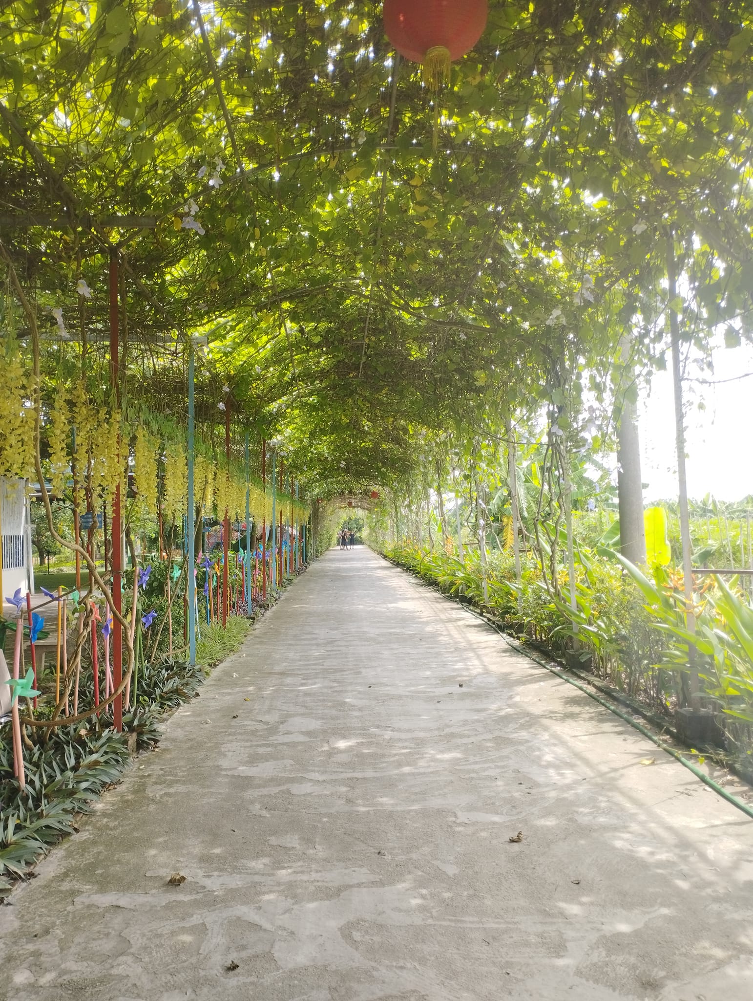Du lịch trải nghiệm Hải Đăng ảnh 1