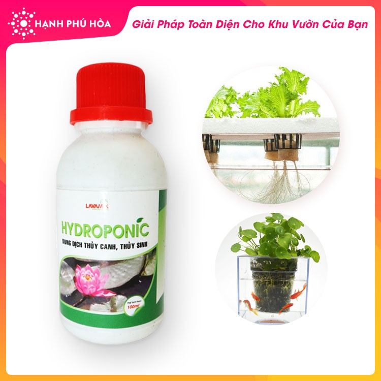 Dung Dịch Phân Bón Thủy Canh Hydroponic ảnh 2