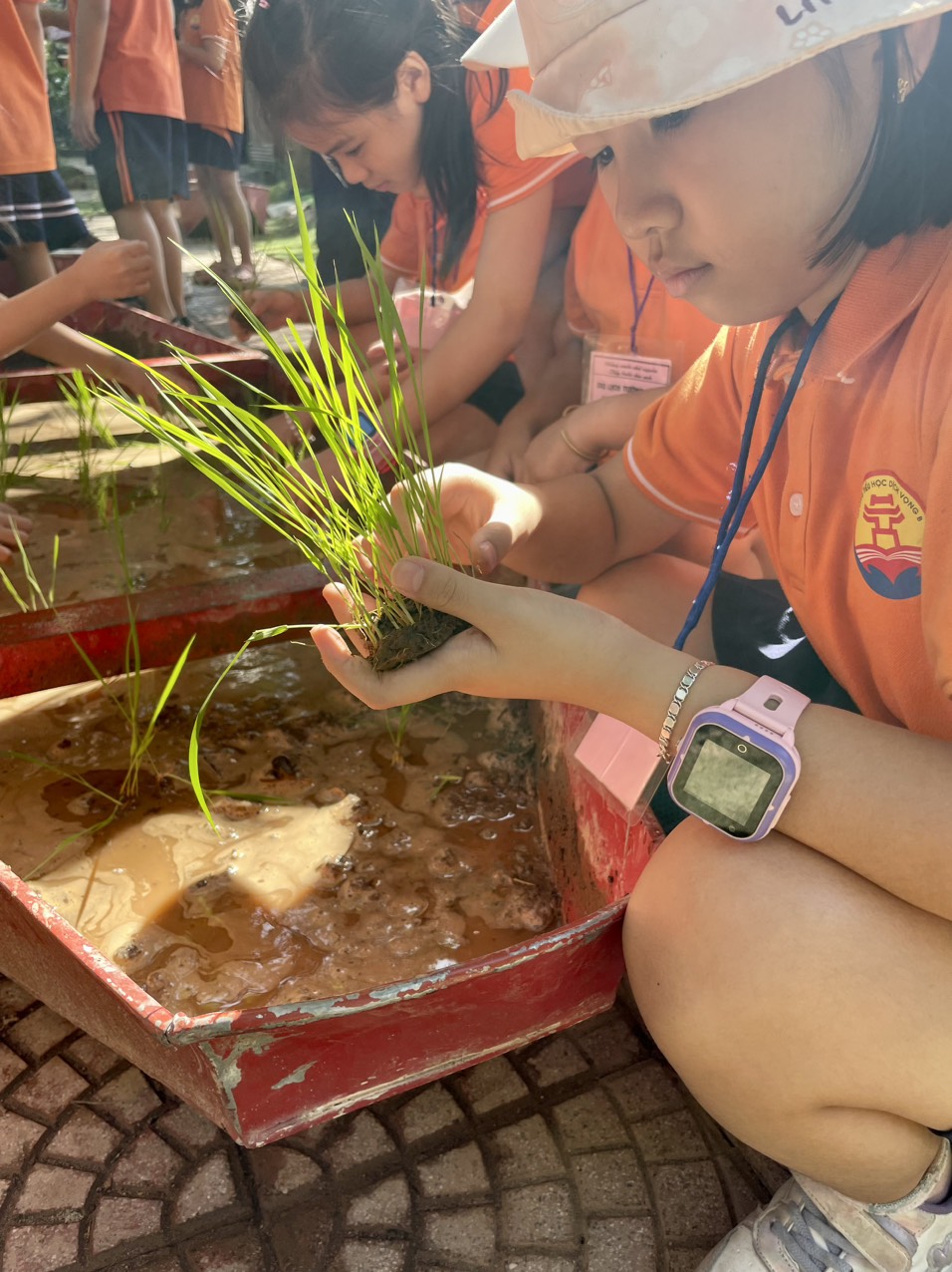 Erahouse ảnh 2