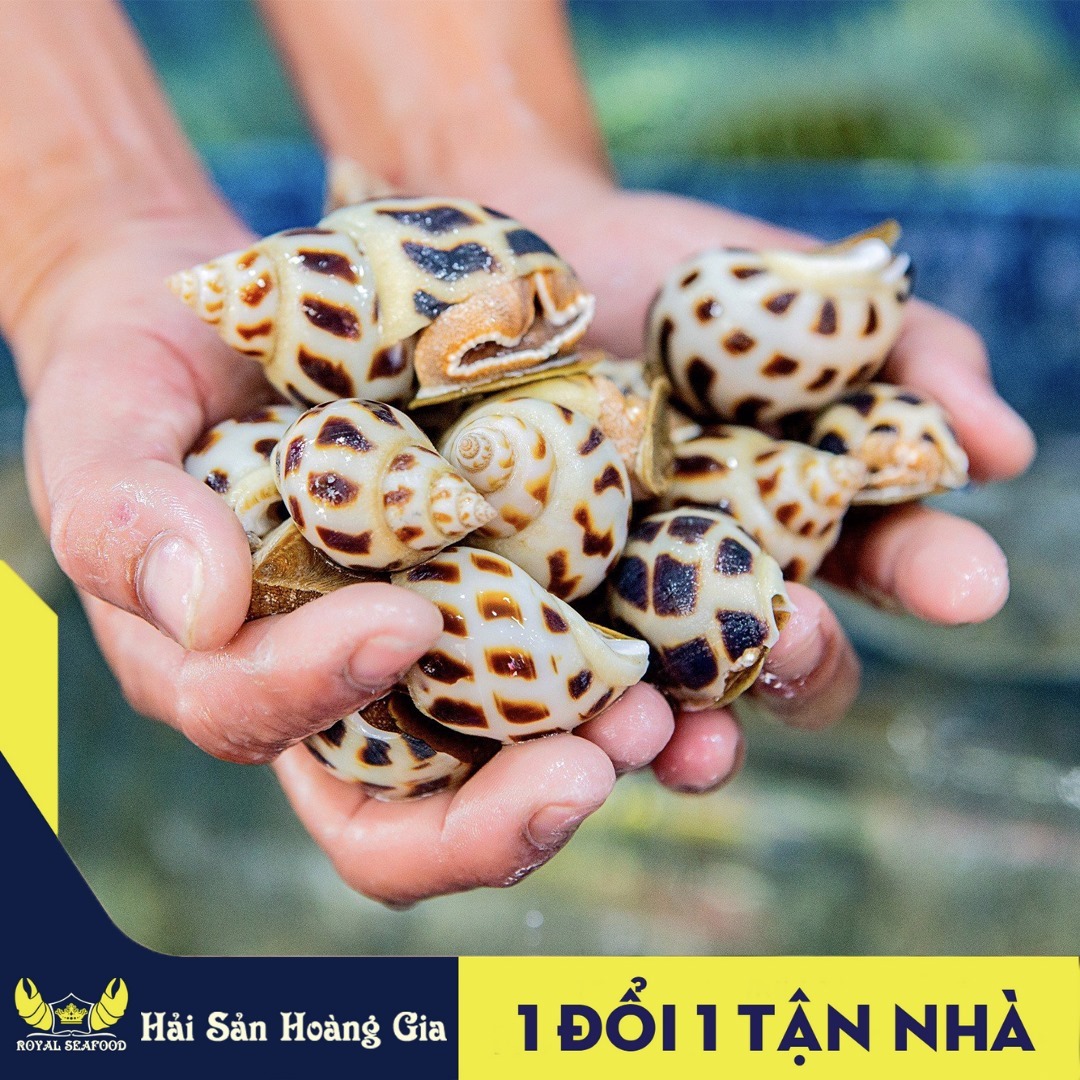 HẢI SẢN HOÀNG GIA ảnh 3