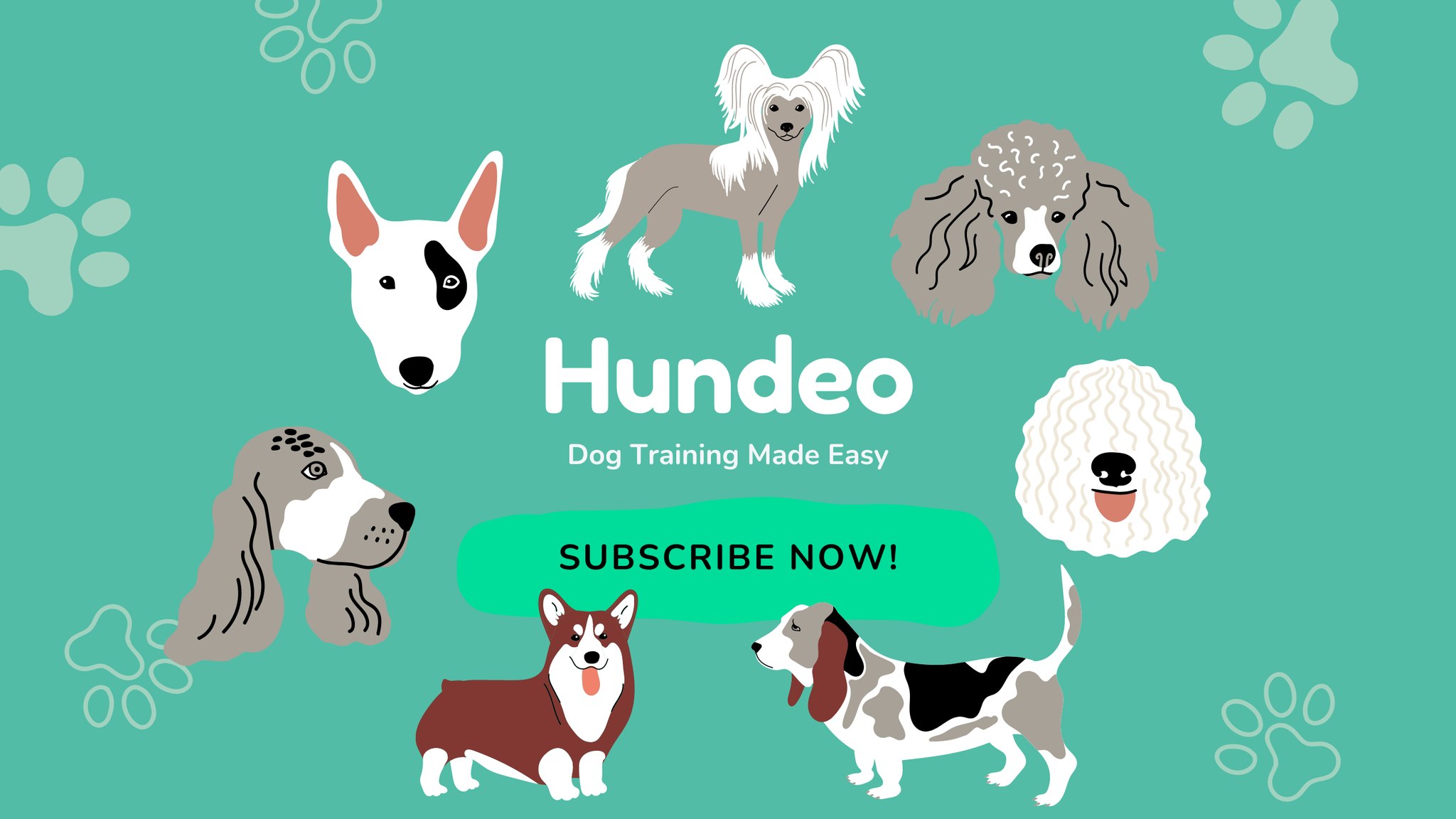 Hundeo: Puppy & Dog Training ảnh 1