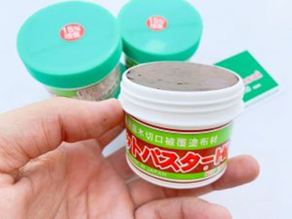 Keo liền sẹo Cut-Paster Nhật Bản ảnh 2