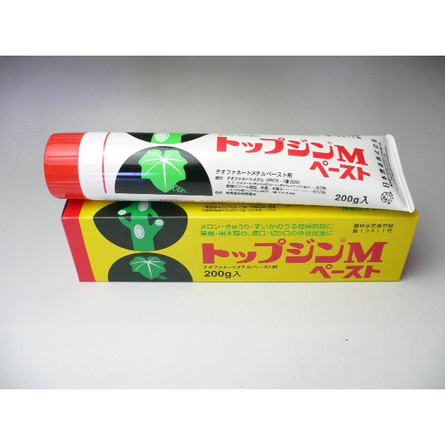 Keo liền thẹo Nisso Nhật Bản ảnh 2