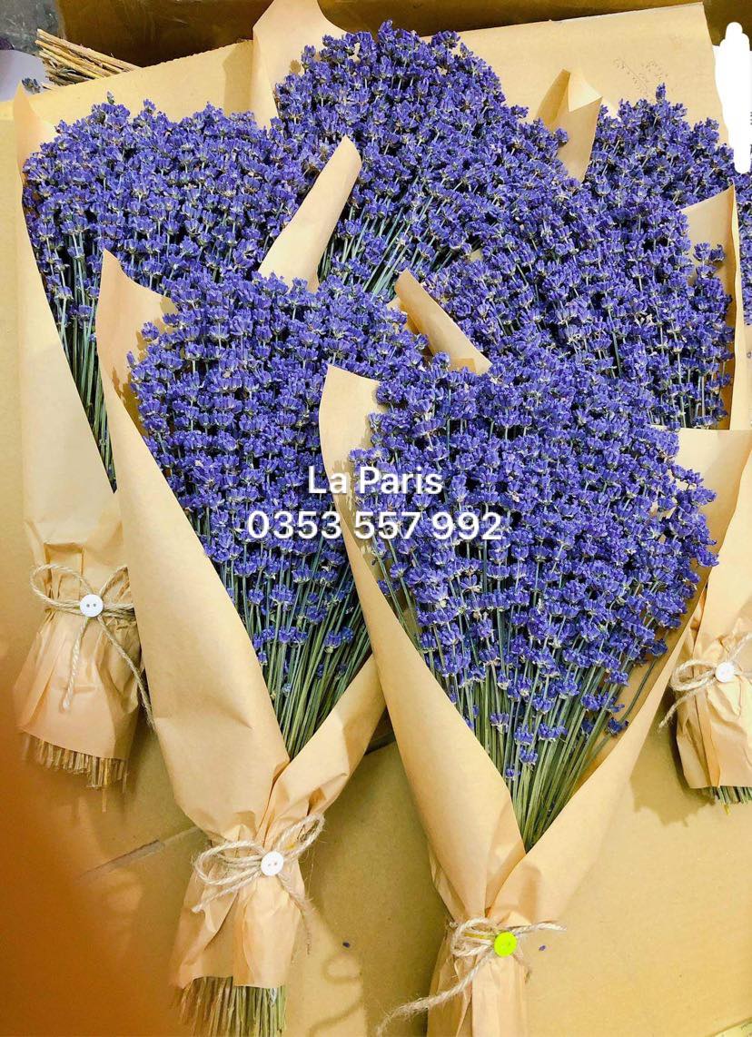 LA PARIS - hoa khô lavender Hà Nội ảnh 1