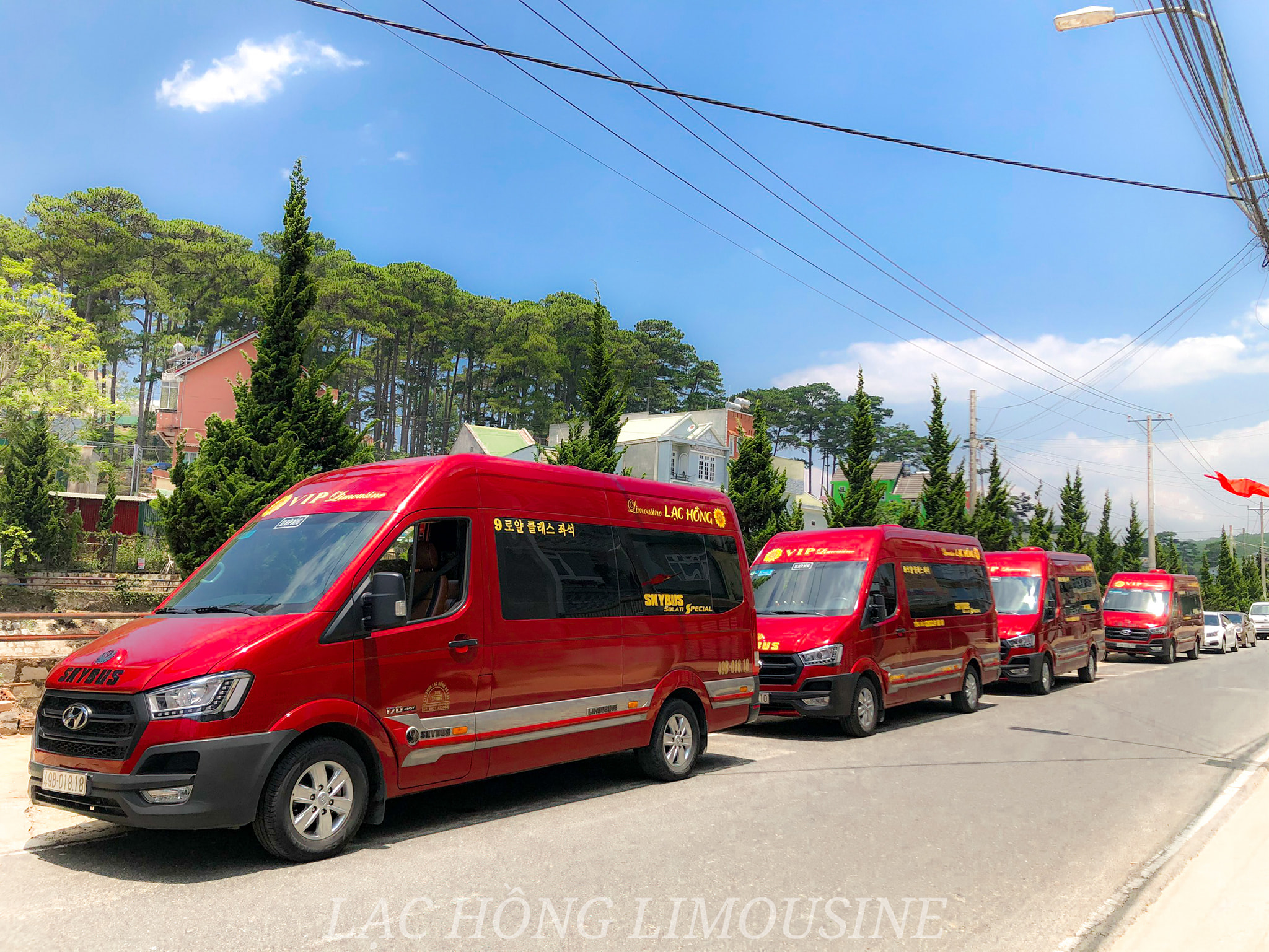 Lạc Hồng Limousine ảnh 1