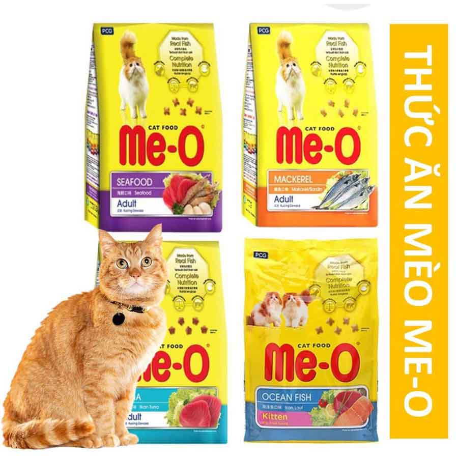 Meo-o ảnh 2